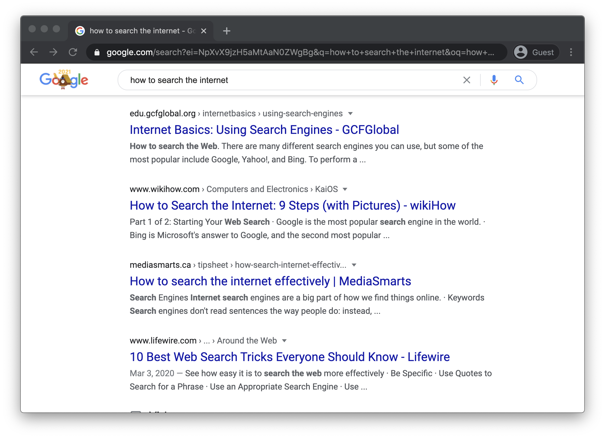 A Google search for 'how to search the internet'